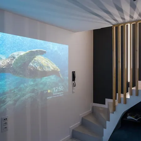 Work & Travel _ Ecostay _ Apartamento *