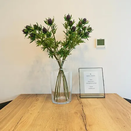 Work & Travel _ Ecostay _ Środa Wielkopolska