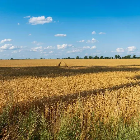 Work & Travel _ Ecostay _ Apartamento