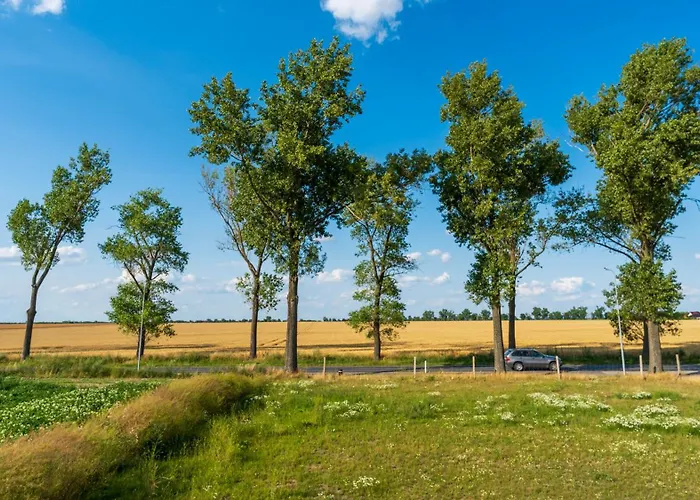 Ecostay Jesionowa 5 - 3 Bedroom Business House With Parking Apartment *