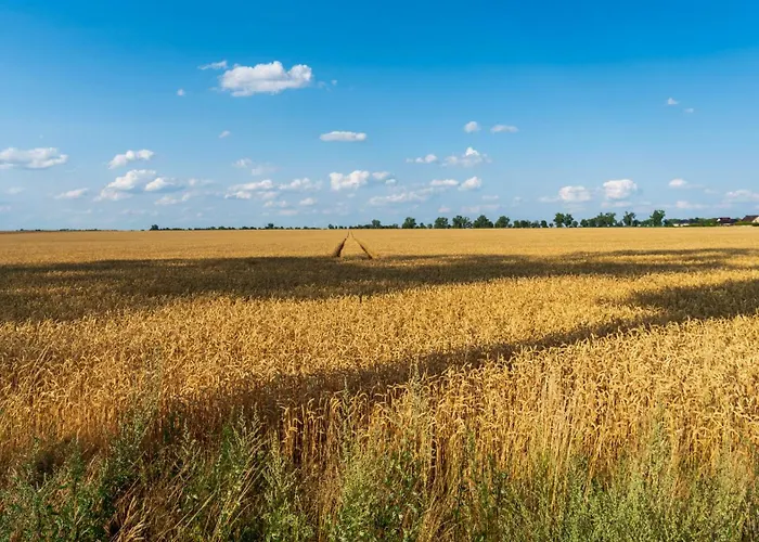 Ecostay Jesionowa 5 - 3 Bedroom Business House With Parking Apartment